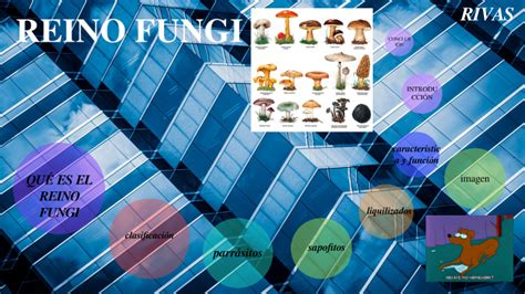 REINO FUNGI by Elmer Antonio Rivas Alvarenga on Prezi 