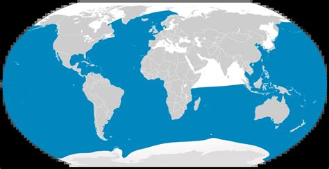 Sei Whale Facts Diet Habitat And Pictures On Animaliabio