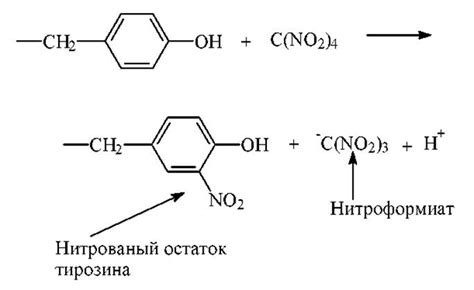 Специфические реагенты на аминокислоты - Аминокислоты - Аминокислоты