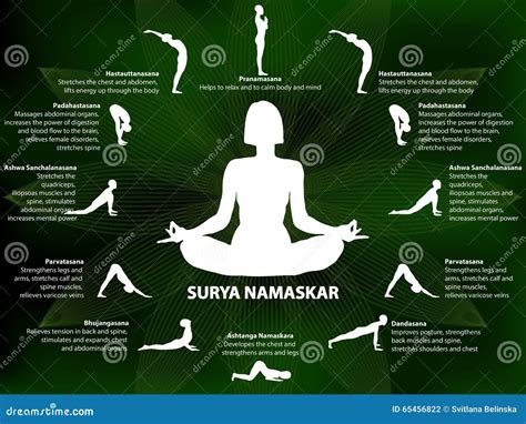 Yoga Infographics Surya Namaskar Sequence Vector Illustration