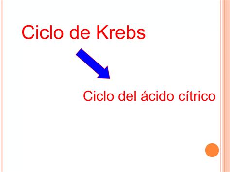 Ciclo De Krebs Paso A Paso 8