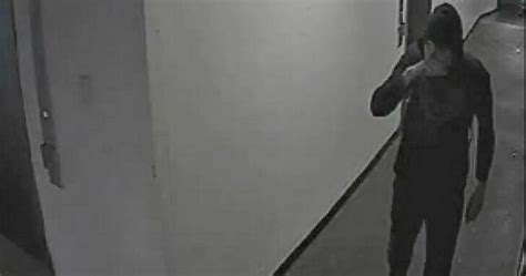 CCTV Captures Alleged Sex Assault Offender The Canberra Times Canberra ACT