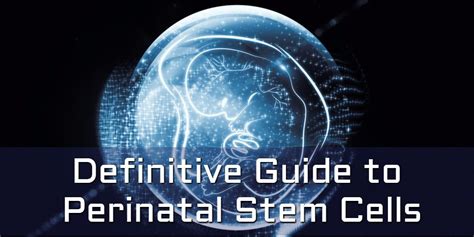 Definitive Guide To Perinatal Stem Cells