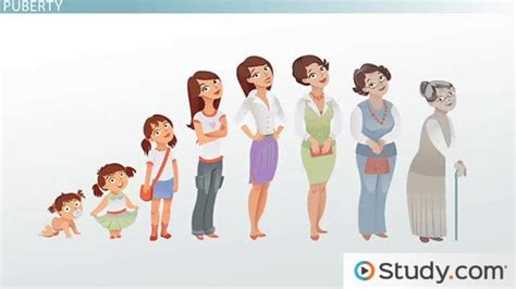 Girls Human Growth And Development