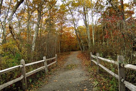 Autumn Photograph By Diane Giurco Fine Art America