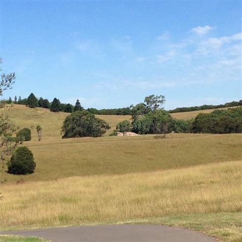Grassy Landscape Stock Image Image Of Field View Hills 78648815