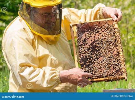 O Apicultor Est Trabalhando Abelhas E Colmeias No Api Rio Foto De