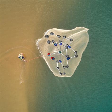 Isolating an elusive missing link | Science Codex