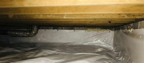 What Is Crawl Space Mold Remediation The Crack Guys