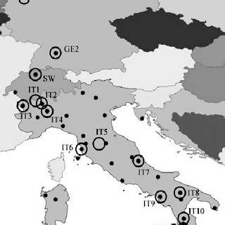 Distribution Of Sex Determining Factors In The Housefly In A