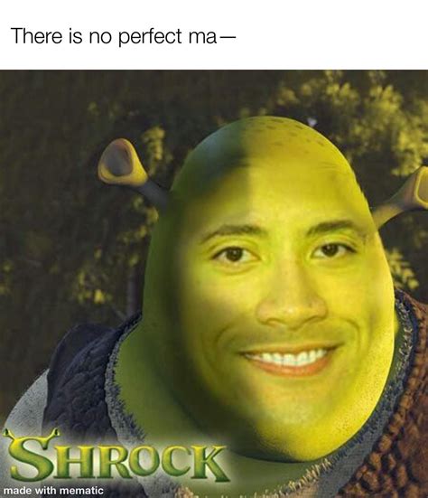 Shrock Is The Perfect Man Rdankmemes