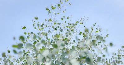 Абонементы Массаж