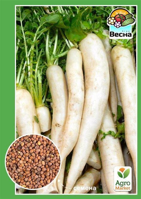Дайкон "Белый клык" ТМ "Весна" 2г купить почтой в Одессе, Киеве ...