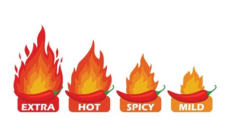 Spicy Chili Pepper Hot Fire Flame Icons Extra Hot Spciy Mild Spiciness Level Vector Spicy