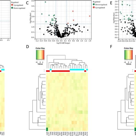 Analysis Of The Differentially Expression Proteins A Volcano Plot Of