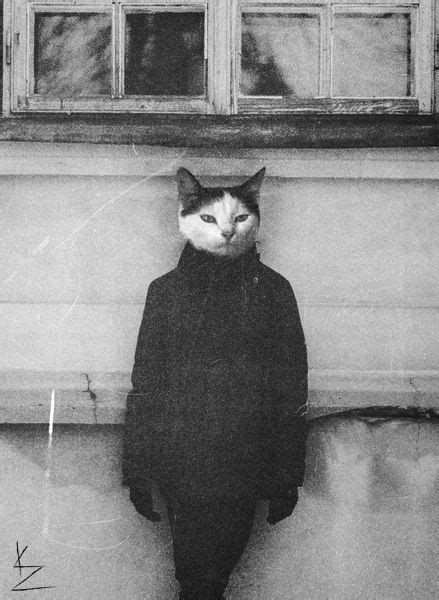 человеко-кот кото-человек кошка кот | Cat people, Cat sketch, Cats