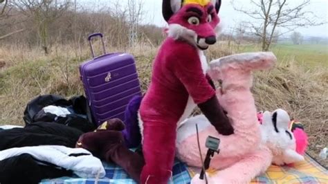 Free Public Breeding Gay Porn Videos XHamster