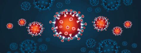 Groupe Gay Globe Media International