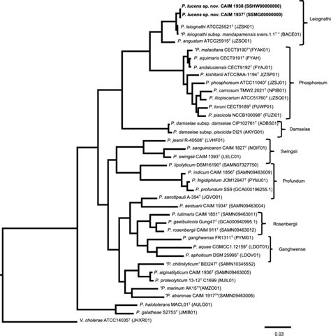Phylogenetic tree based on concatenated sequences of 139 single-copy ...