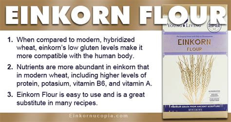 Einkorn Flour - Einkornucopia