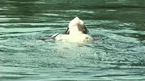 Naked Barbara Hershey In Love Comes Quietly