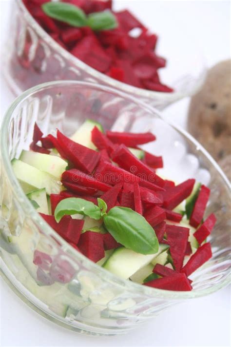 Salada Do Rabanete E Dos Pepinos Foto De Stock Imagem De Rabanete