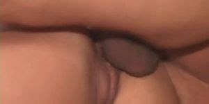 Anal Pigs Porn Videos