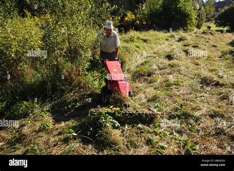 Meadow Mowing With Sickle Bar Mower Stock Photo Alamy