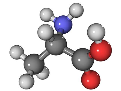 Alanine Lewis Structure
