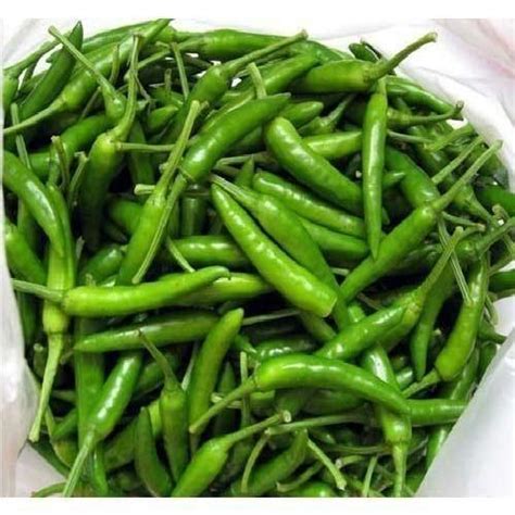 Organic Fresh Green Chilli For Human Consumption Packaging Size