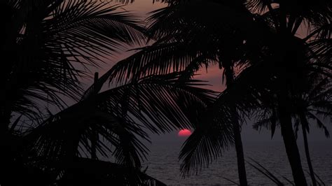 Luxury Trips - Home | Facebook