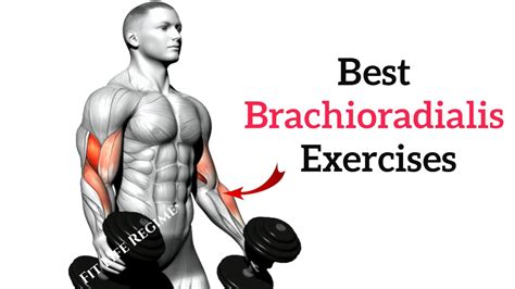 10 Brachioradialis Exercises for Bigger and Stronger Forearms