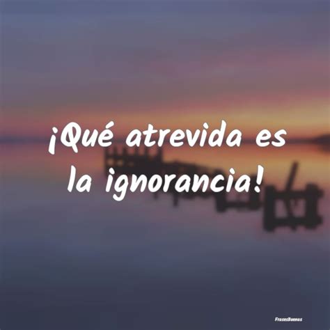 Qué atrevida es la ignorancia