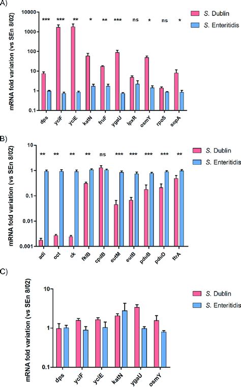 Mrna Level Quantification Of Genes Coding For Selected Proteins