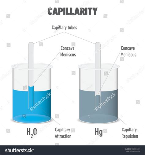 1,557 Capillary Tubes Images, Stock Photos & Vectors | Shutterstock