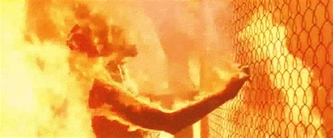 It S Kinda Hot Outside On Imgur