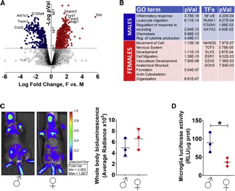 Sex Specific Features Of Microglia From Adult Mice Cell Reports
