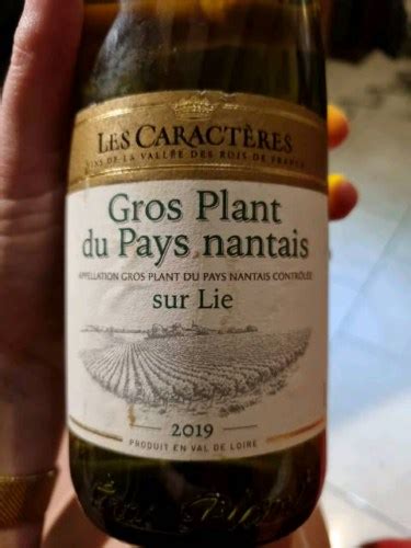 2019 Les Caractères Gros Plant du Pays Nantais Sur Lie Vivino US