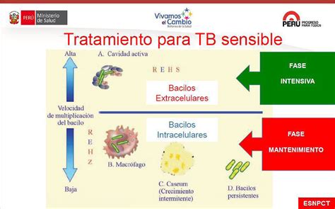 Residentes Medicina Interna Hnerm Derrame Pleural Tuberculoso