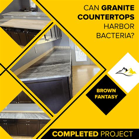 Can Granite Countertops Harbor Bacteria Debunking The Myths Granite