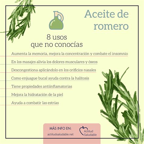 Aceite Herbal Beneficios Y Usos Del Aceite De Romero | Hot Sex Picture