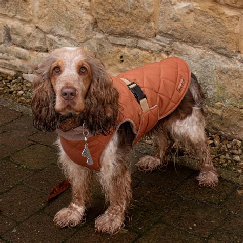 Handmade Waterproof Dog Coats Hugo And Ted