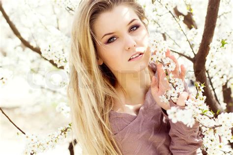 schöne blonde Mädchen im Frühjahr Kirschgarten Stock Bild Colourbox