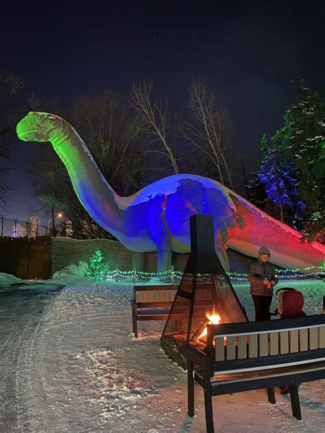 Dinny - from Calgary zoo : r/Dinosaurs
