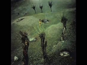 Browse Recent Nude Videos Page Aznude