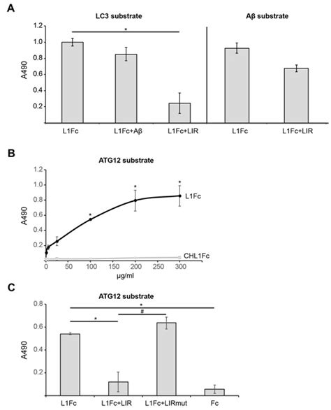 functional relationships  lcam lc atg  ab
