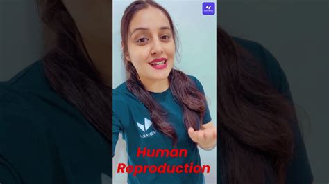 Class 12 Biology Primary Sex Organ Human Reproduction Shorts YouTube