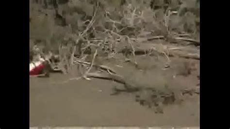 Flagras Reais De Sexo Flagrante Search XVIDEOS