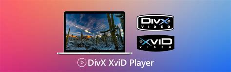 DivX Player – Play DivX DRM Videos on All Devices