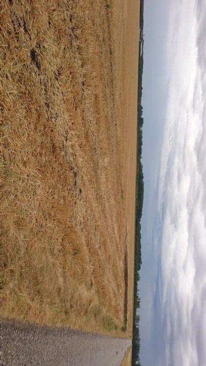 Wixxen Im Feld Shemale Movies Hd Porn Video E Xhamster